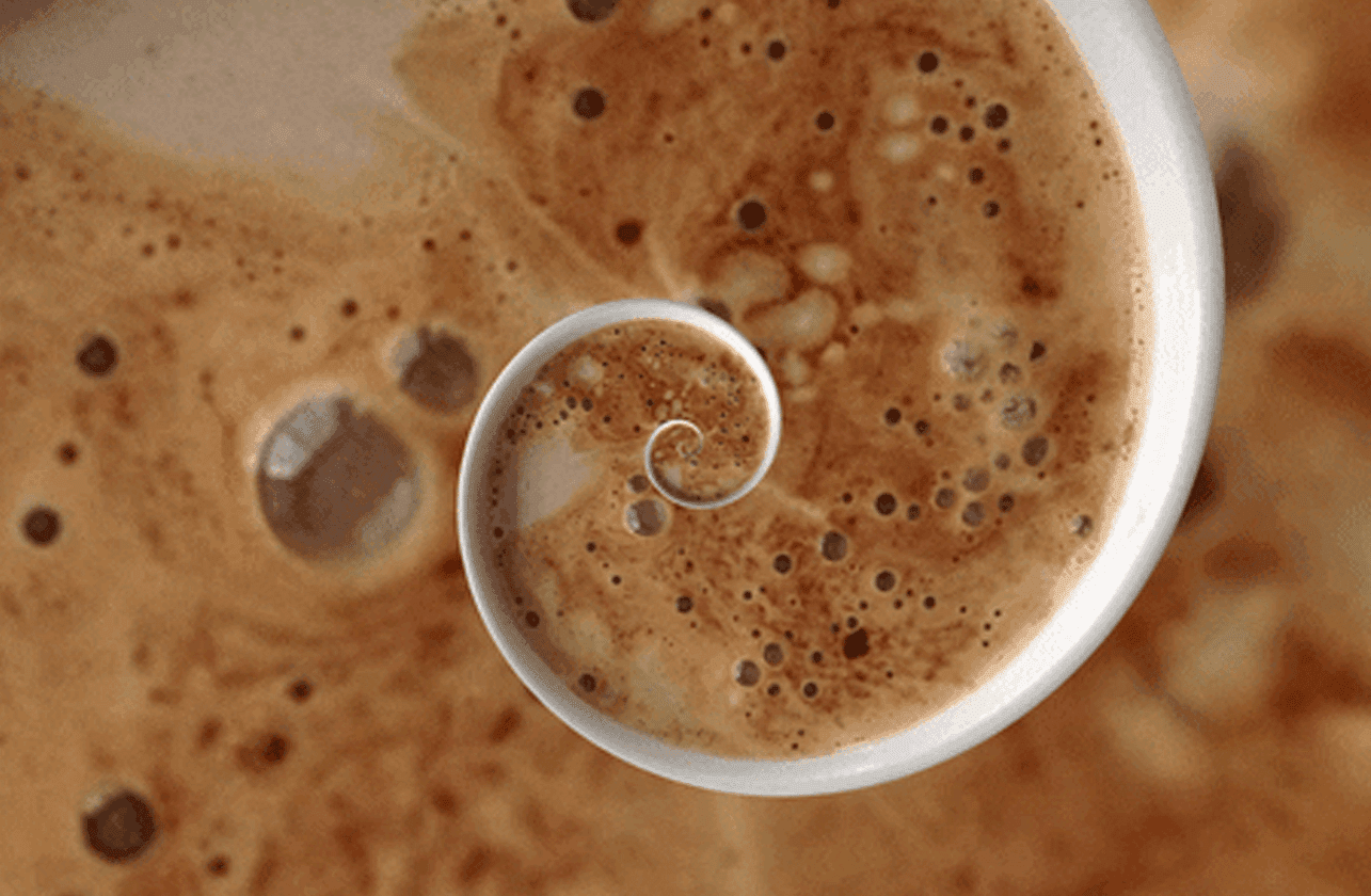 Cover Image for Fazedores de Café & Nude – Uma parceria com propósito social