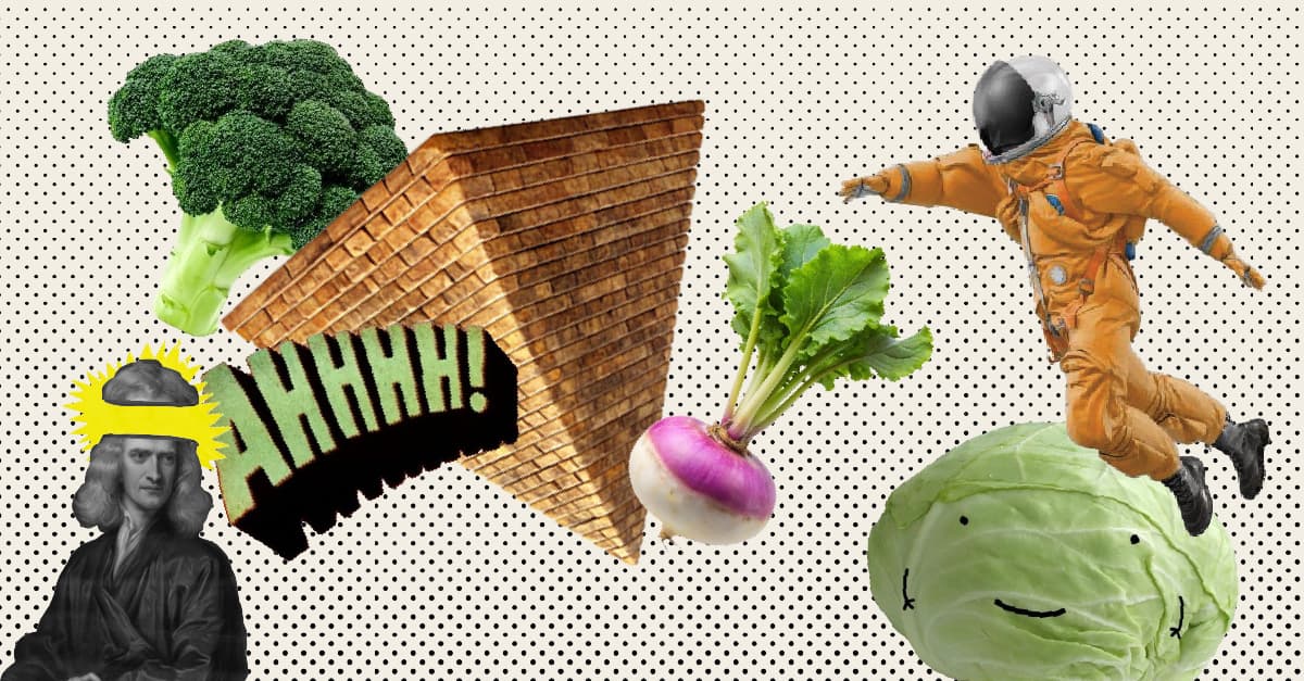 Cover Image for A (não tão) nova pirâmide alimentar